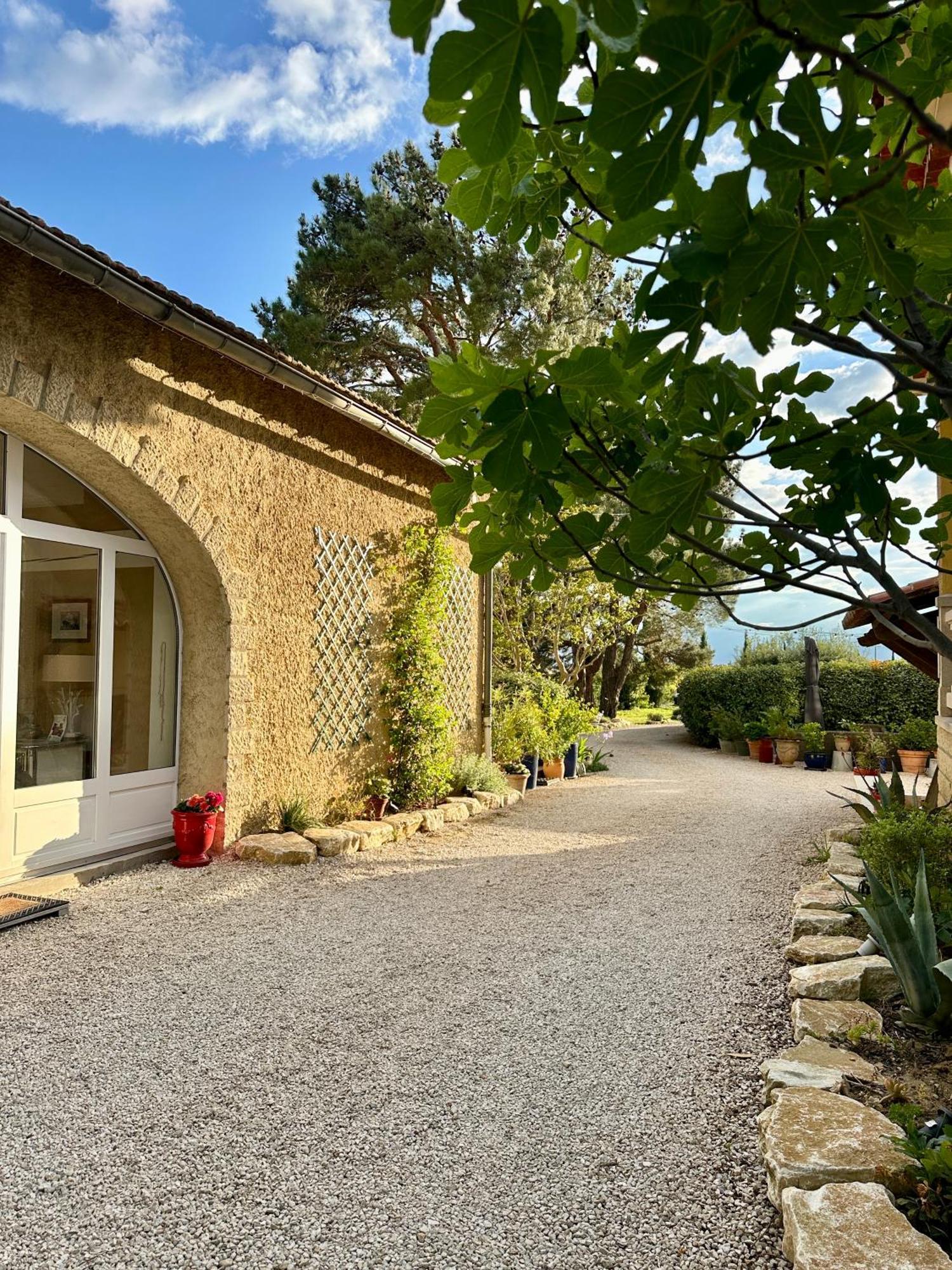 Le Clos Vitis * Violès